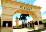 MILOTO ENTRADA