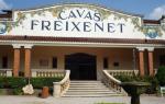 FREIXENET FACHADA 1